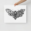 mushroom death moth canvas print